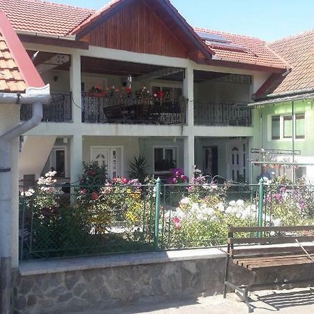 Casa Maria Retezat Pensionat Nucsoara  Exteriör bild