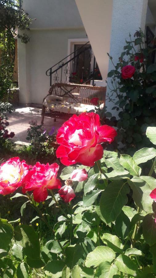 Casa Maria Retezat Pensionat Nucsoara  Exteriör bild