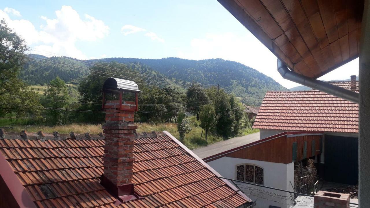 Casa Maria Retezat Pensionat Nucsoara  Exteriör bild