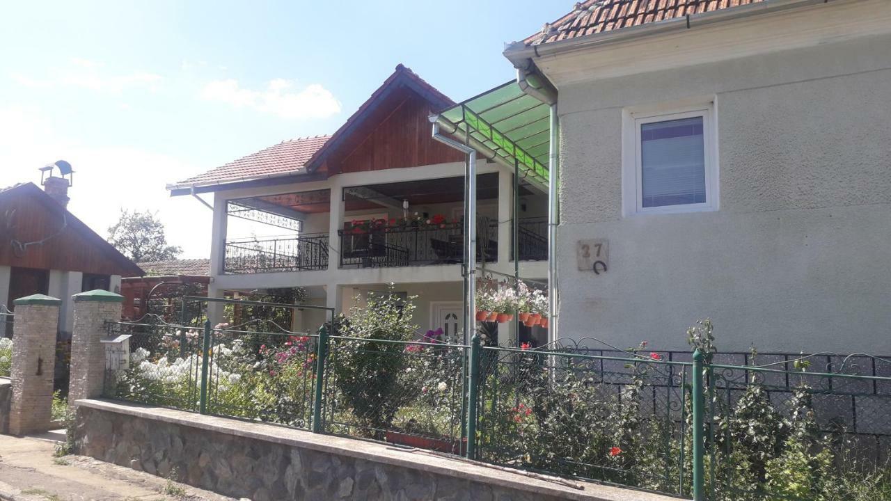 Casa Maria Retezat Pensionat Nucsoara  Exteriör bild
